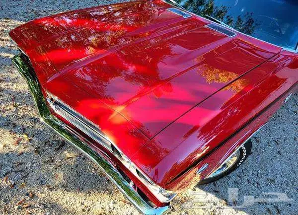للبيع شيفيل اس اس موديل 1969 مجدد chevrolet chevelle ss 2