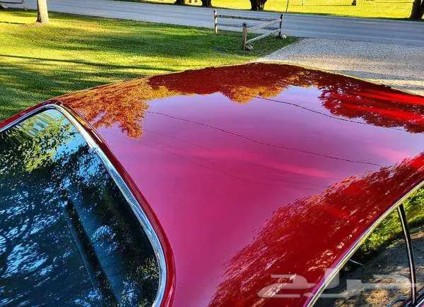 للبيع شيفيل اس اس موديل 1969 مجدد chevrolet chevelle ss 6