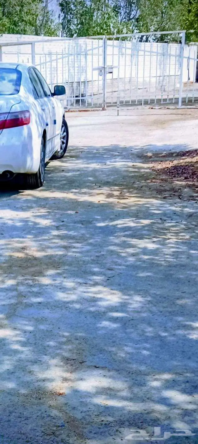 حوش للايجار 0