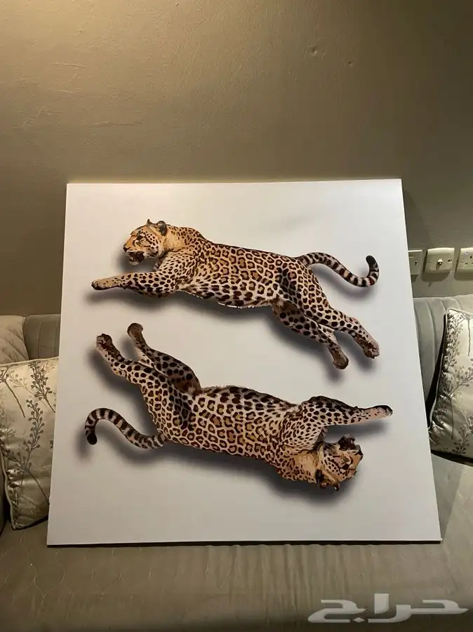 لوحة جدارية 0