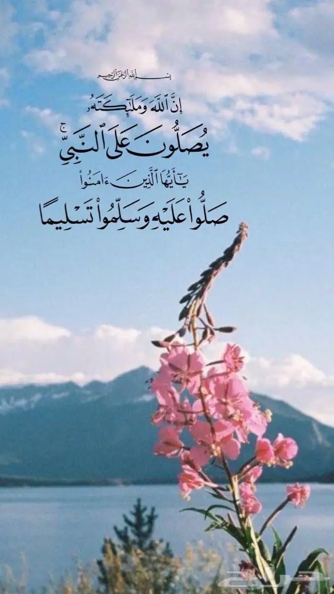 مطلوب سياره اقساط كل شهر ألف 0