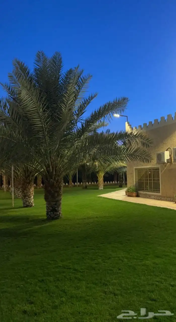 مزرعة ريم الريفية للبيع   الخرج   الدلم 11