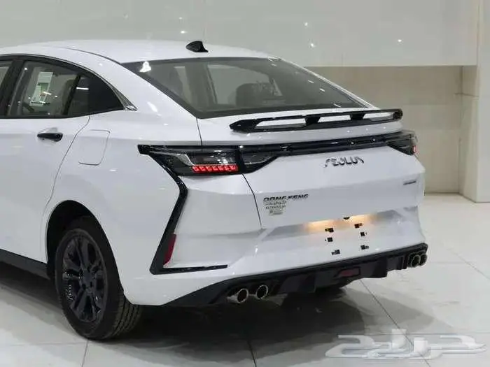 دونج فينج E1 شاين 2025 مع ياقه عازل حراري من جونسون 4
