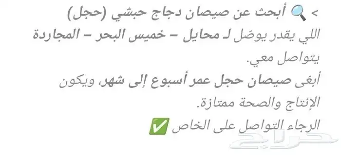 أبحث عن صيصان دجاج حبشي (حجل) اللي يقدر يوص ل ل محايل خمي 0