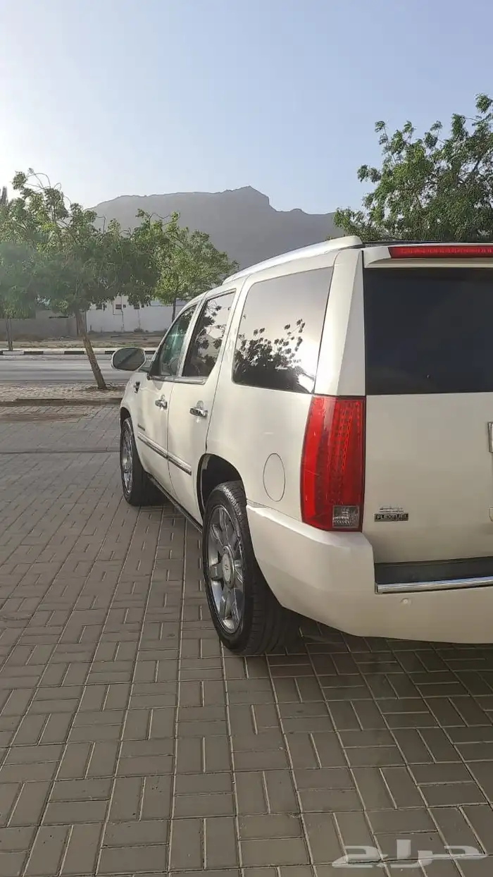 كدلك سكاليد 2009 6