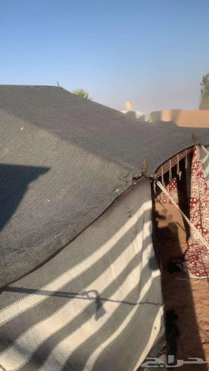 للبيع خيمة على شكل بيت شعر 5 في 7 11