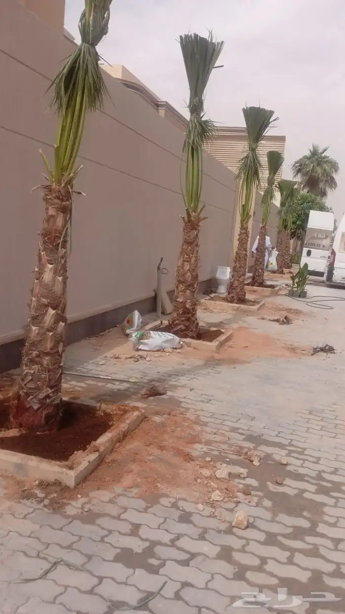 مشتل تنسيق حدائق 0