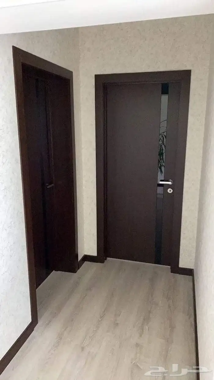 ديكورات بلس 5