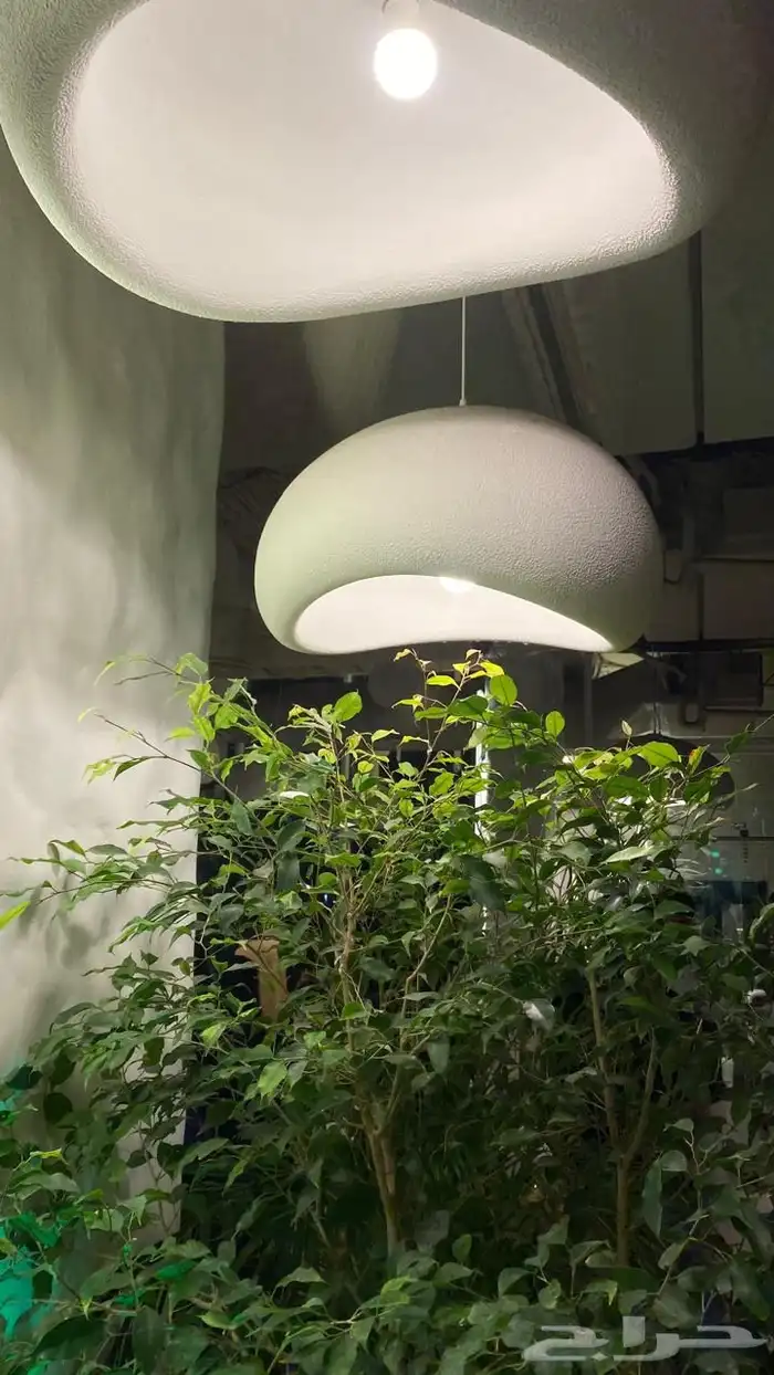 مصورة ومصممة 3