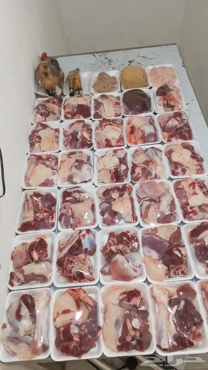 أبو ذيب للذبائح ( يتوفر خدمه تمارا) يتوفر ذبح وتوصيل مجاني 6