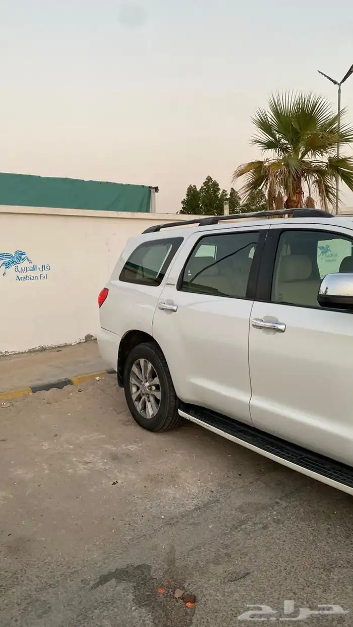 سكويا للبيع 2009 4