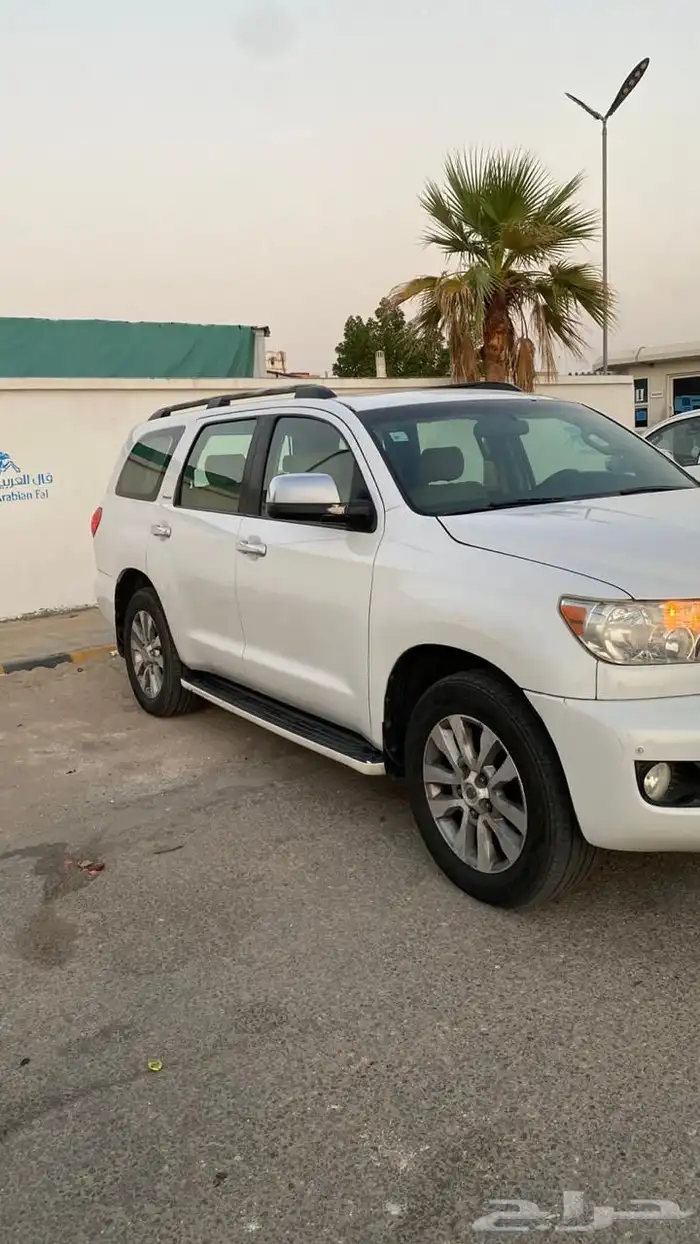 سكويا للبيع 2009 1