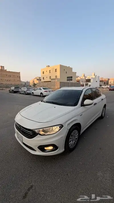 دودج نيون index