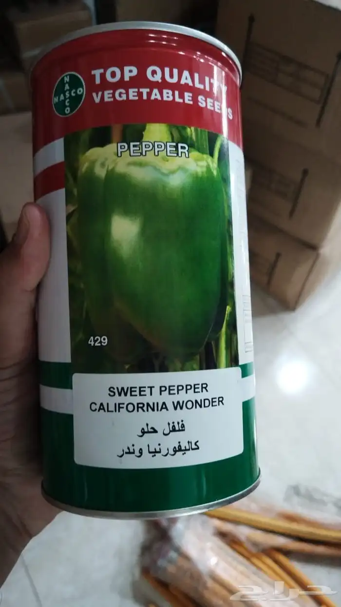 شتلات فلفل رومي نوع 429 0