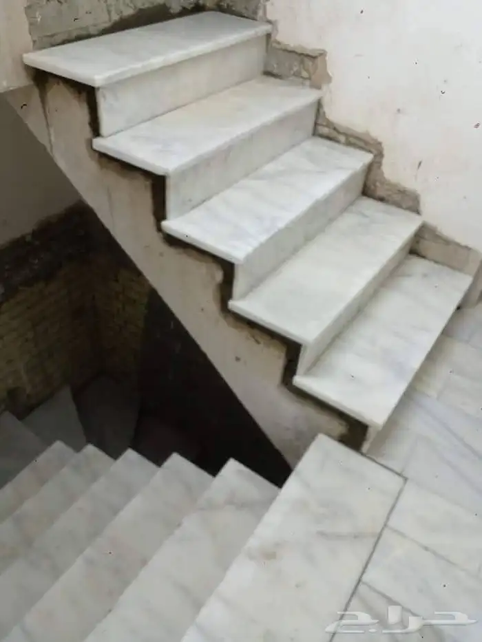 محمد عاطف 49