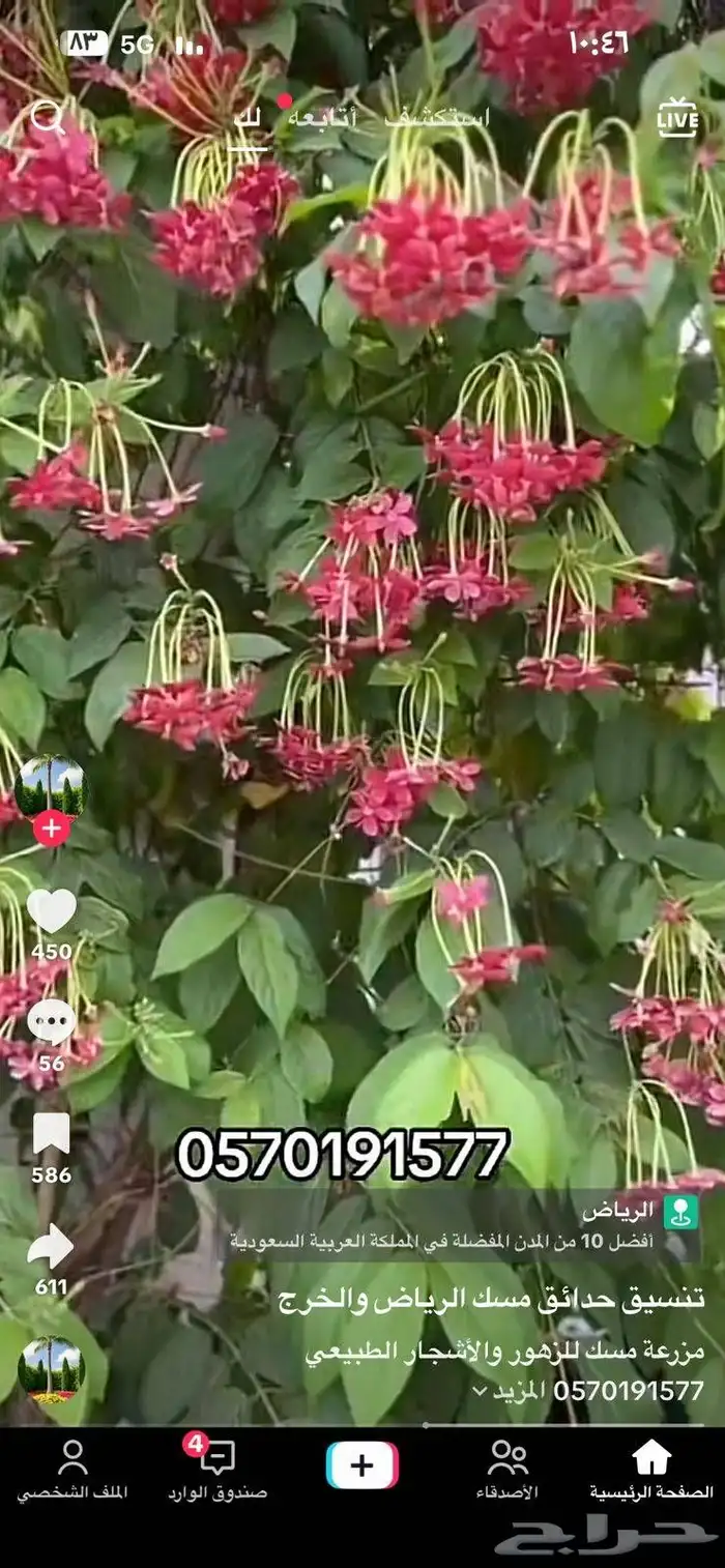 تنسيق حدائق مودرن 0