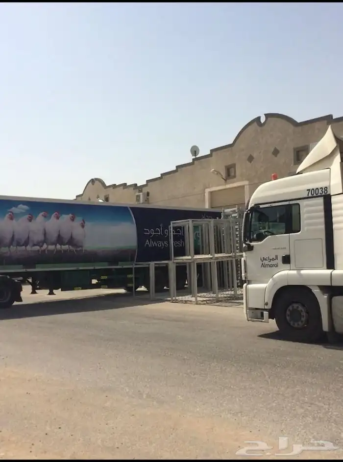 ثلاجة تبريد وتجميد وجاف 4