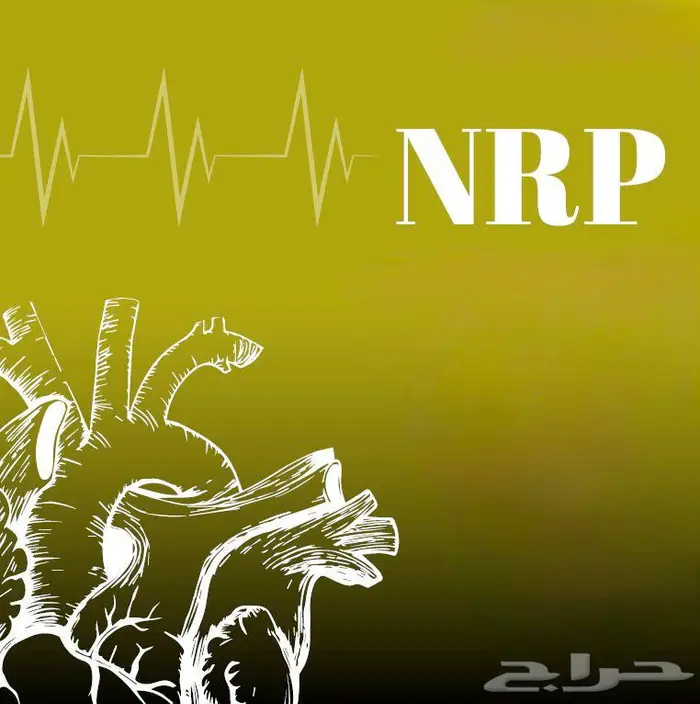ساعات ممارس بلس و BLS . ACLS . PALS . NRP 6