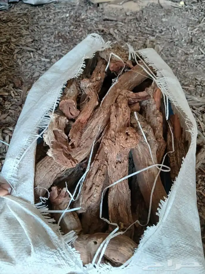 شرط مرصوص ا ر ط ى 6