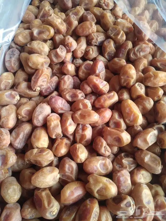 تمر خلاص القرنه وساجر للبيع 0