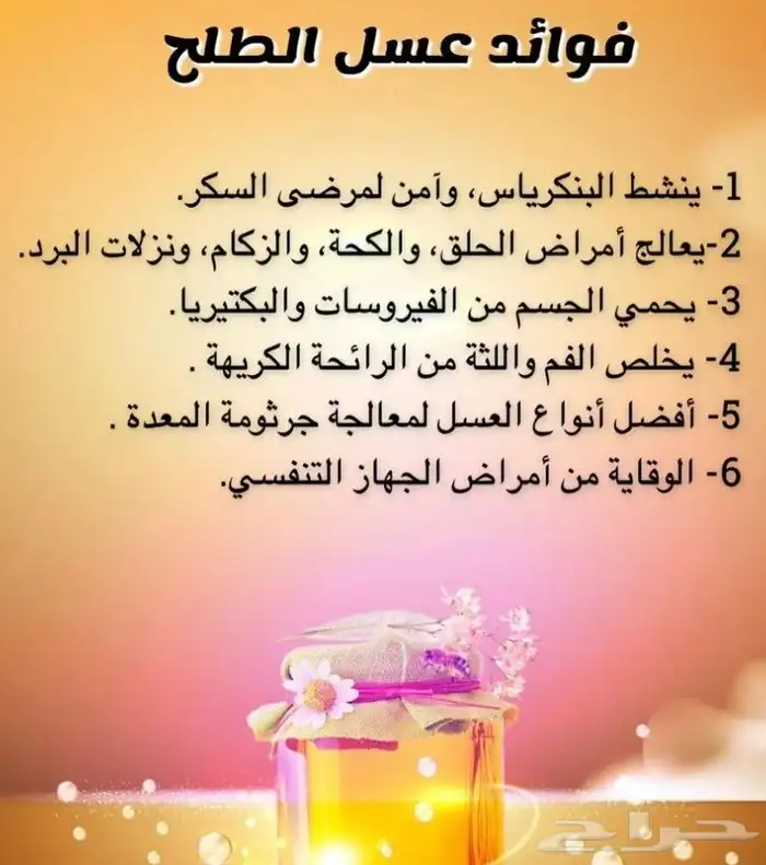 شمع عسل الطلح الجبلي ابها 1 كيلو 2