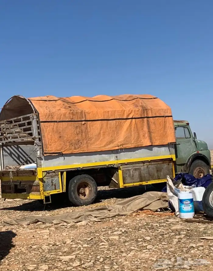 صندوق حصنيه للبيع 3