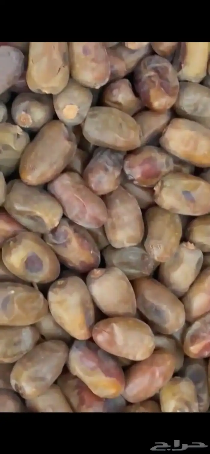 عرض خاص على تمر فنخاء الكهفة حبة جامبو كبيرة - حبة وسط 3