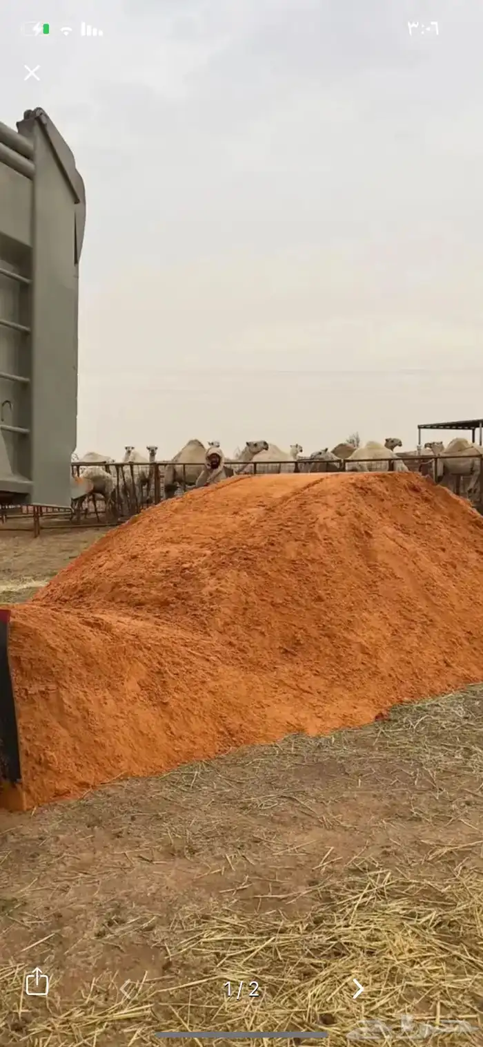 رمل احمر نفود الدوادمي 16