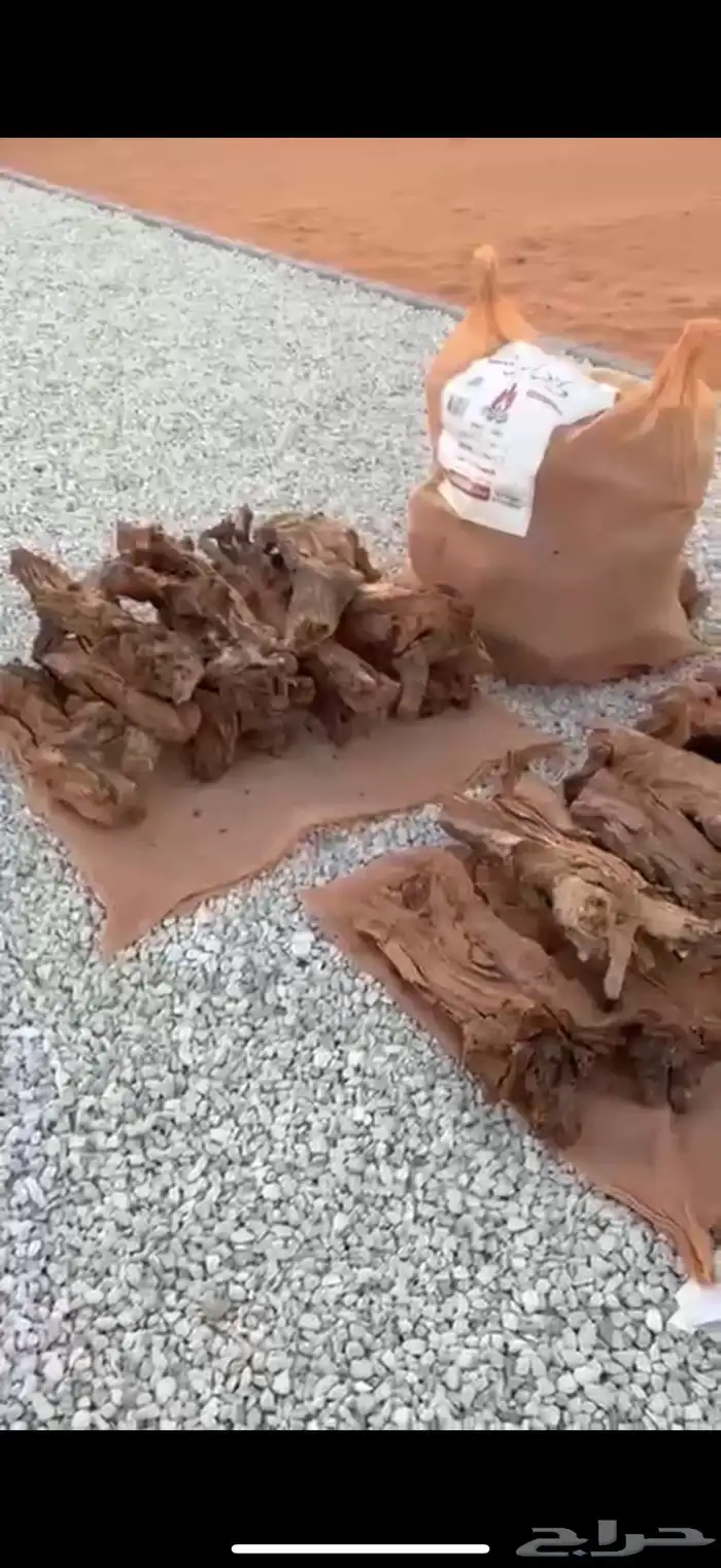 حطب شجر الخوخ 0
