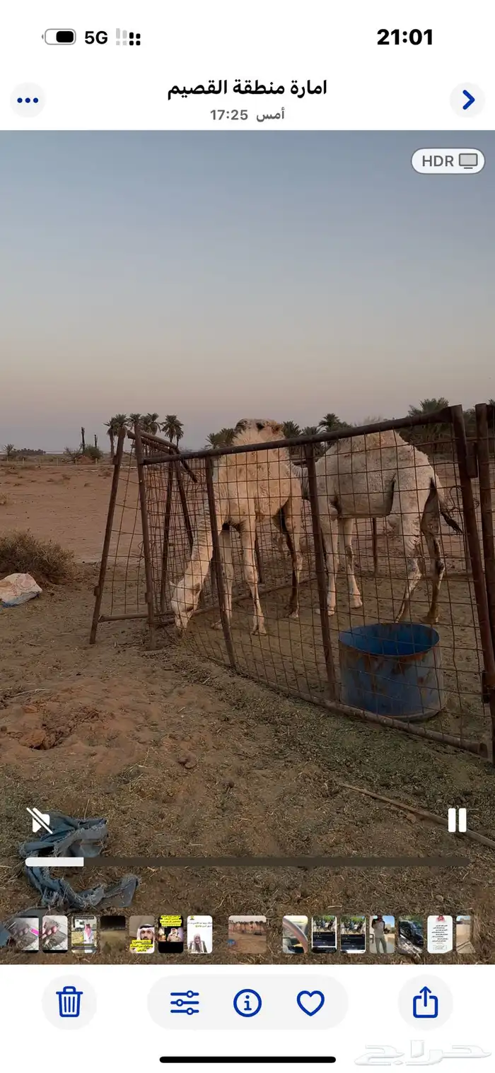 حشو طيبه عدد 2 0