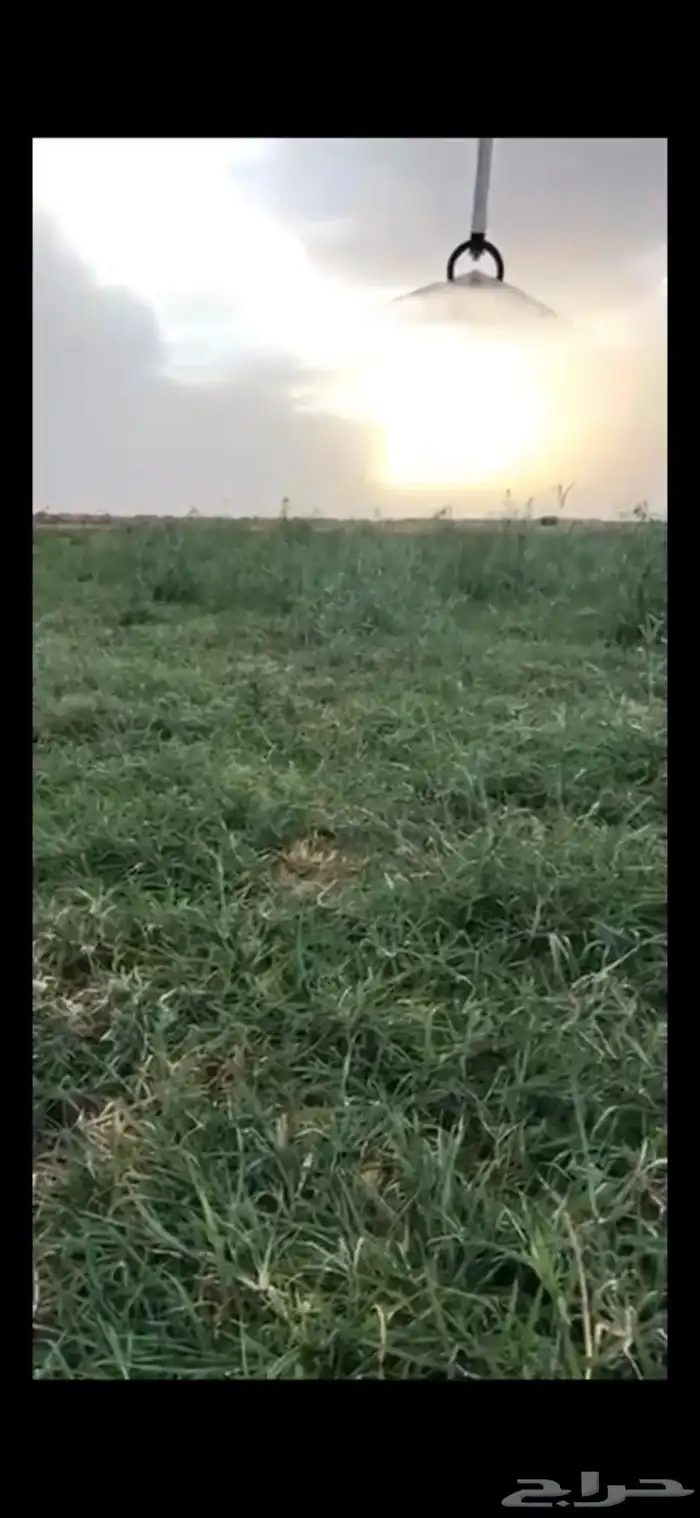 مزرعه وفيلا في جنوب المذنب خريمان الشغار 3