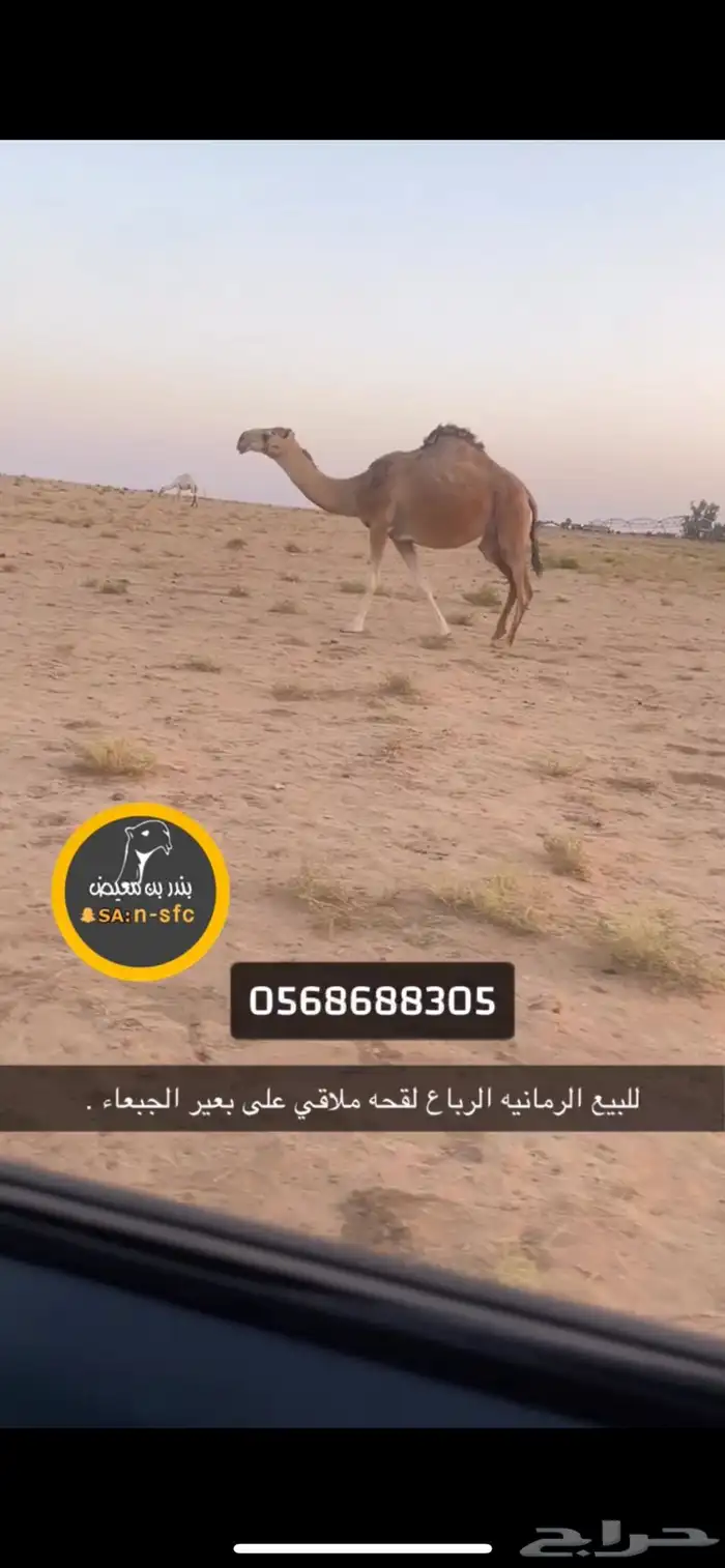 للبيع الملاقي 0