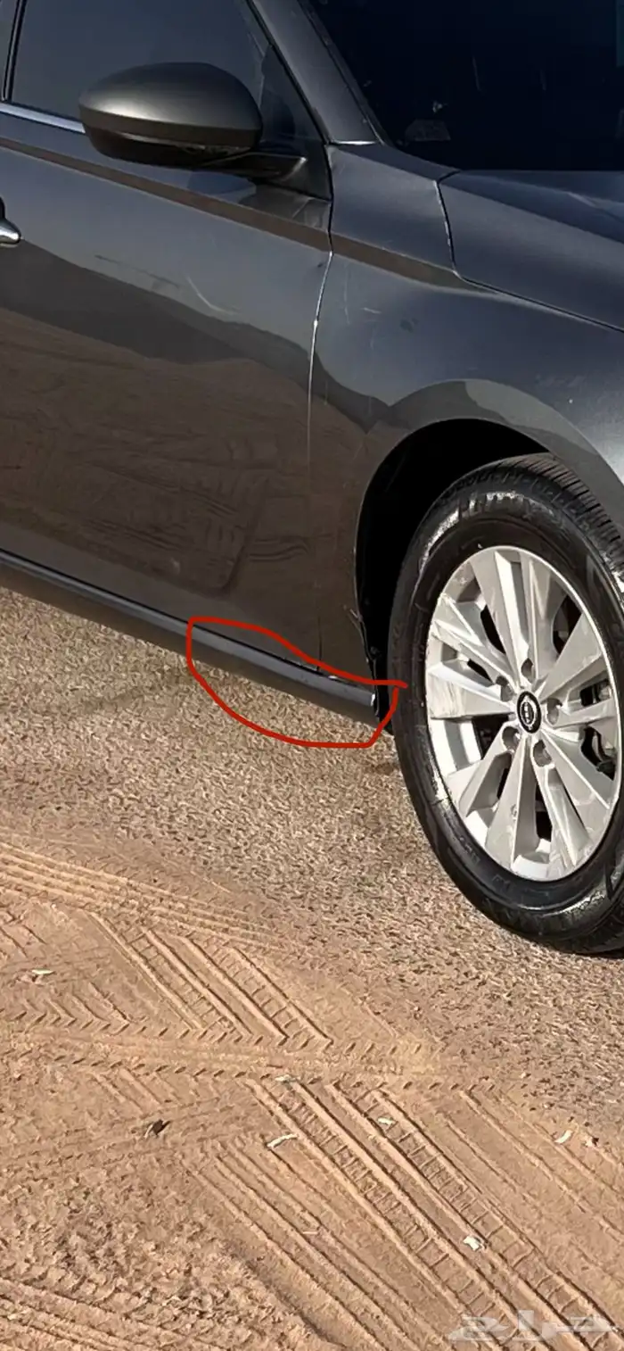 التيما 2024 16