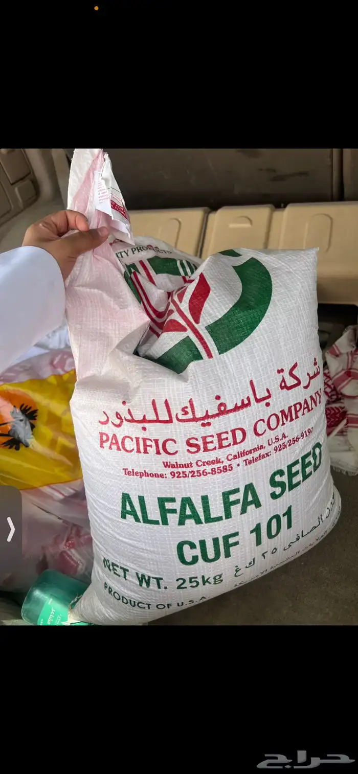 بذر برسيم كاف 101 0