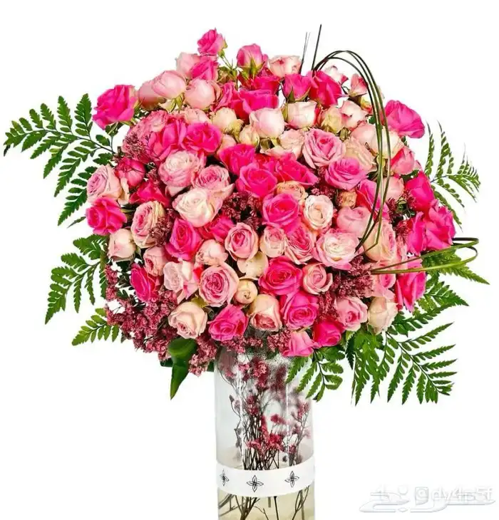 https   maps.app.goo.gl hpED9NPyrjjG7xEz7 g_st ic 12