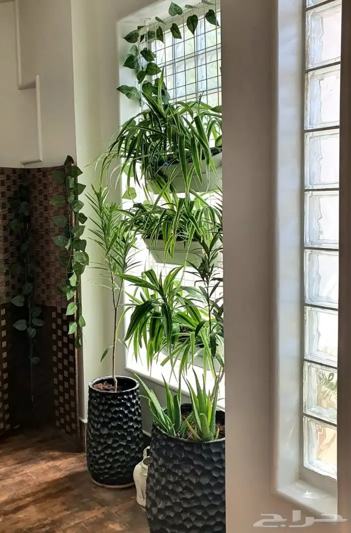 شقه مفروشه فاخره للايجار مكه النزهه 17