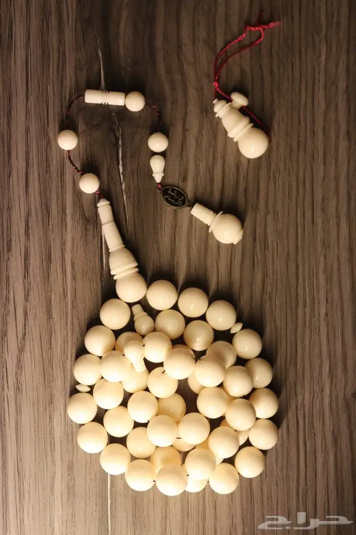 جميع انواع السبح 2