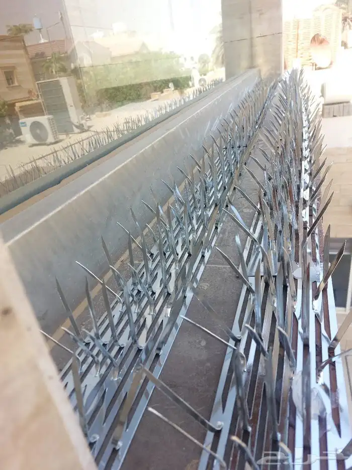 شركه تركيب طارد للحمام شبك واشواك بالرياض وخارج الرياض 3
