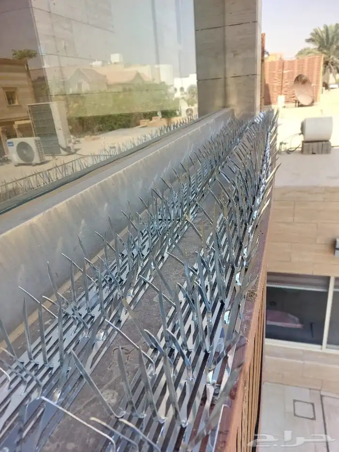 شركه تركيب طارد للحمام شبك واشواك بالرياض وخارج الرياض 4