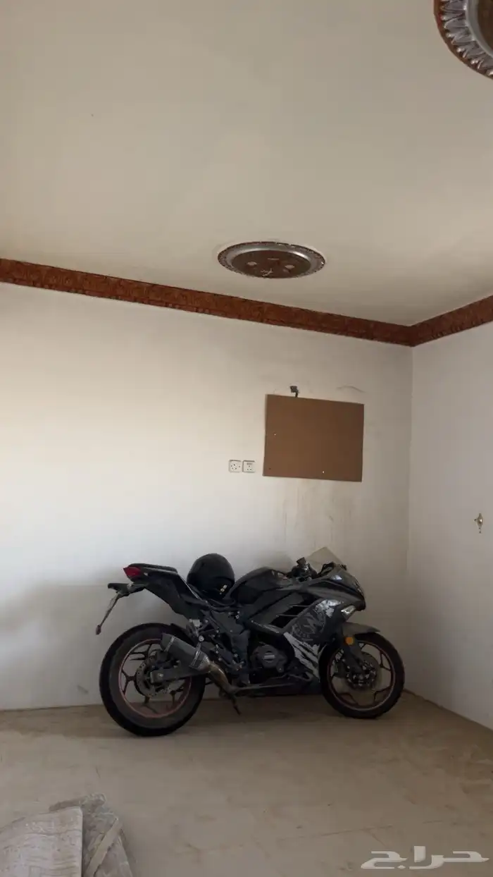 دباب ريس للبيع 4