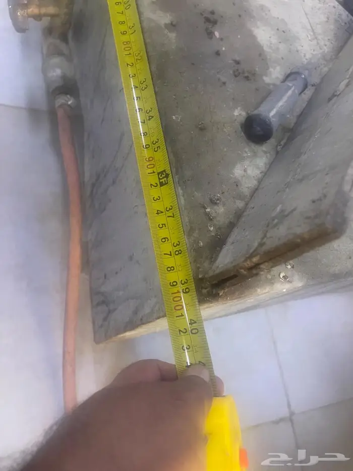 شولة قز كبير 2