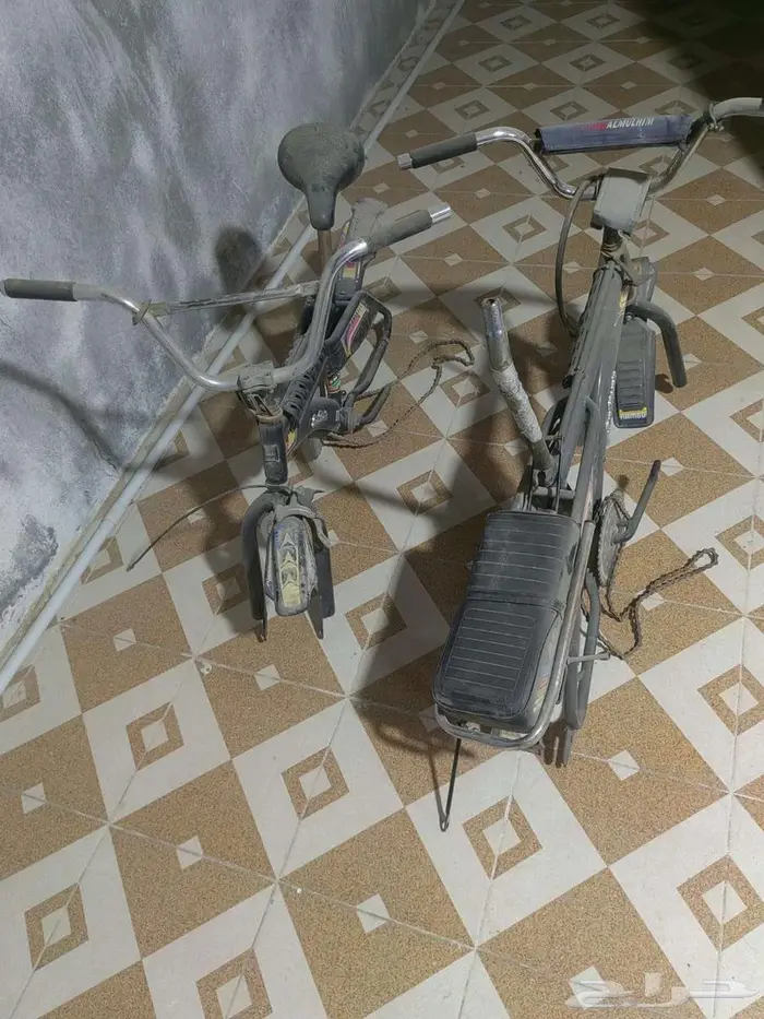 الاحساء المبرز 0