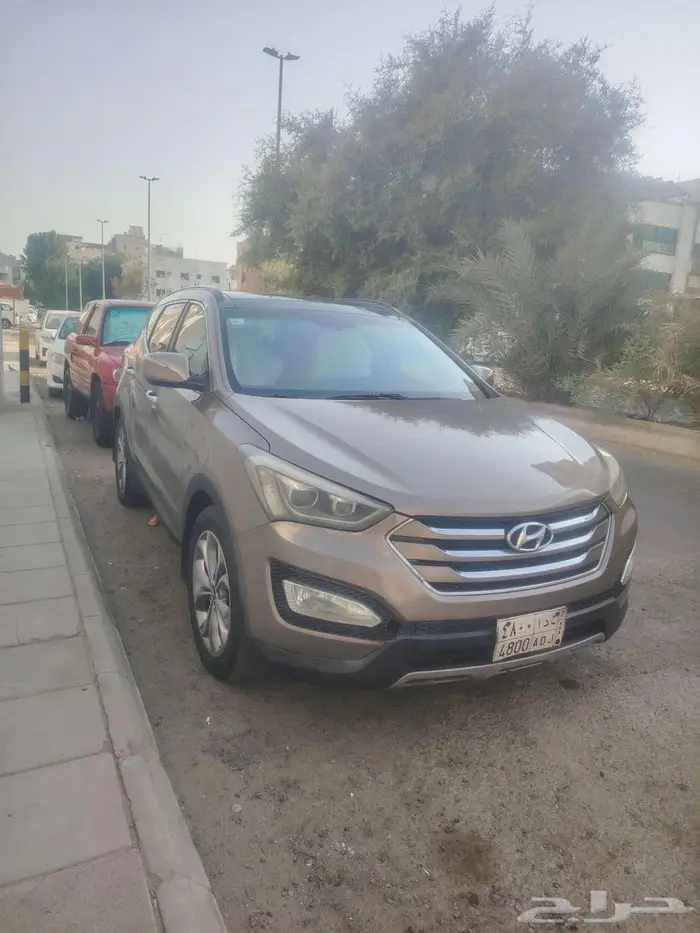 سنتافي 2014 8
