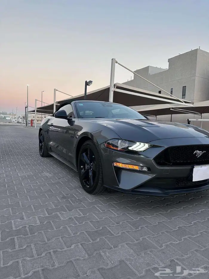 موستنج GT 2020 كشف 6