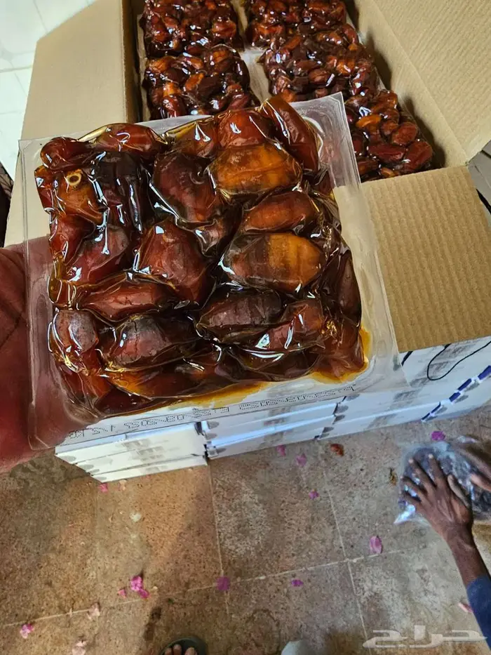 تمر إخلاص الدلم شخصي 0