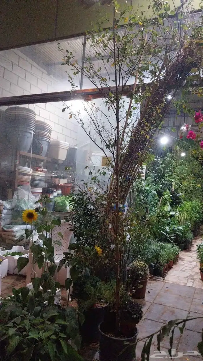 مشتل تنسيق حدائق 3