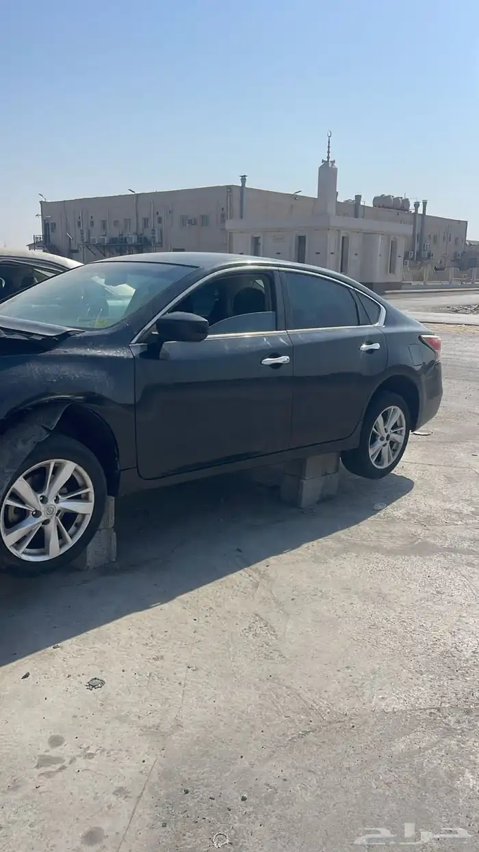 التيماء 2