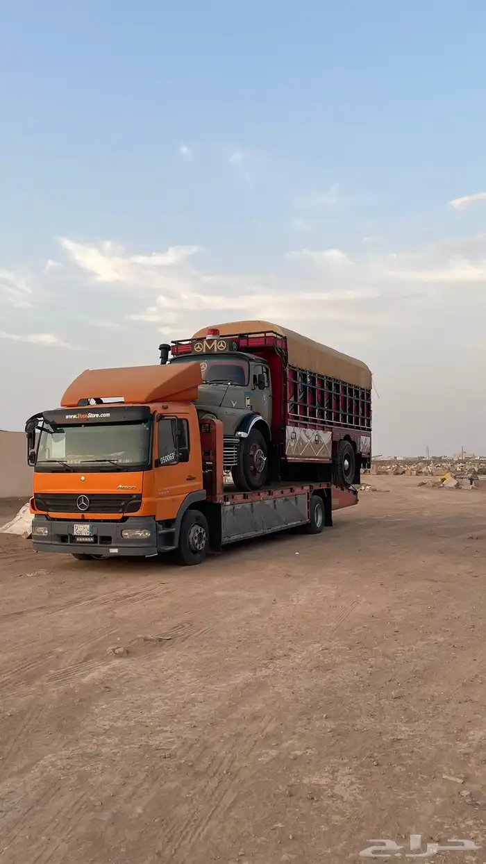 لوبد مسكس تبوك 0