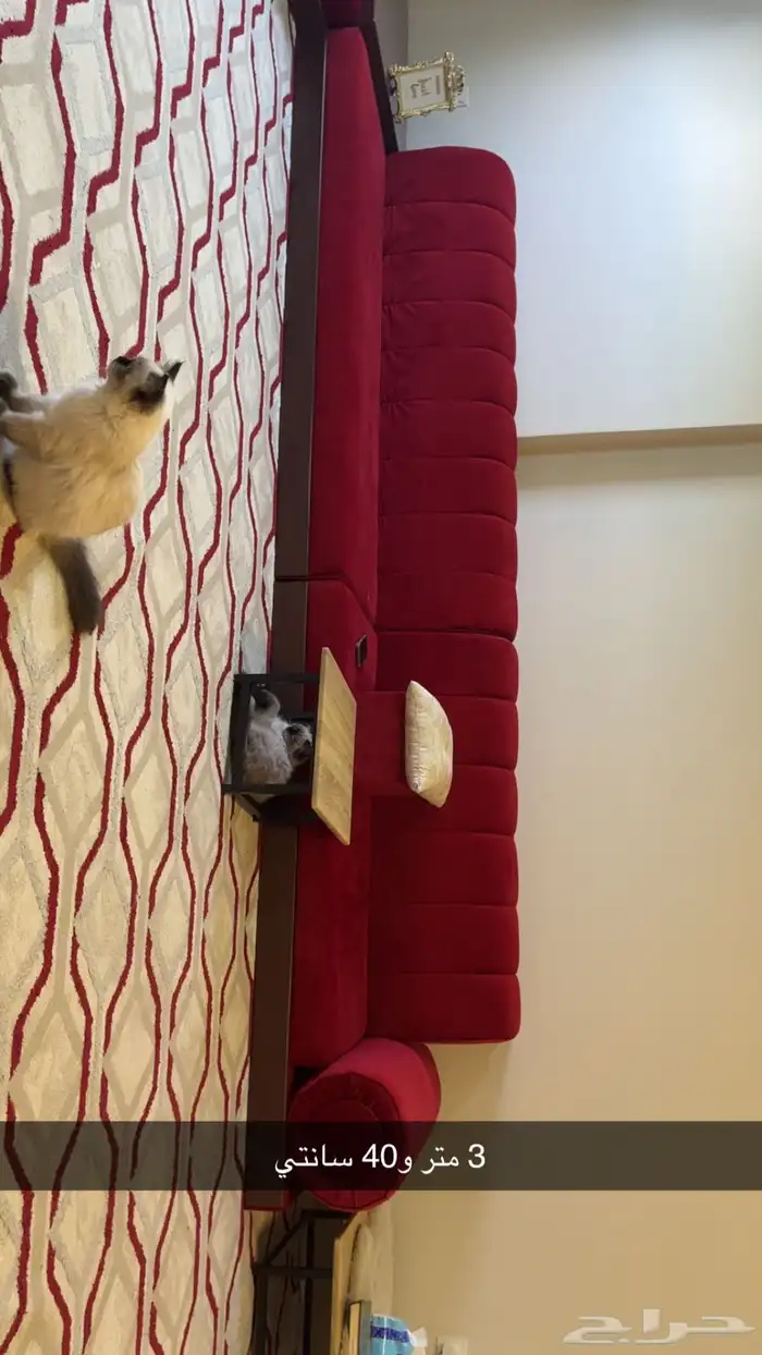 جلسه شبه جديده 4