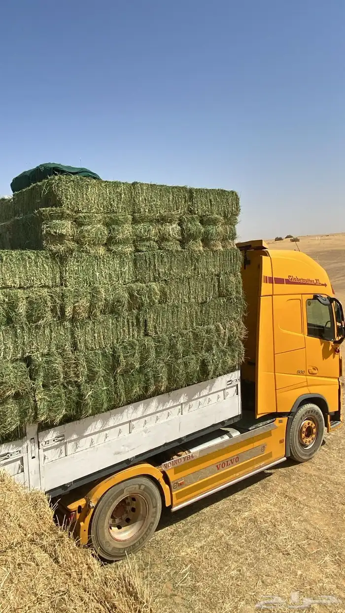 اعلاف برسيم تبن رودس 1